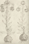 Picture of FRESCO FLORAL II