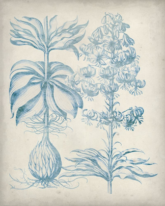 Picture of BLUE FRESCO FLORAL II