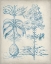 Picture of BLUE FRESCO FLORAL II