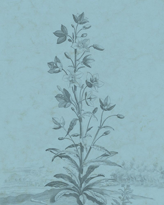Picture of BOTANICAL ON TEAL II