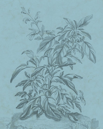 Picture of BOTANICAL ON TEAL III