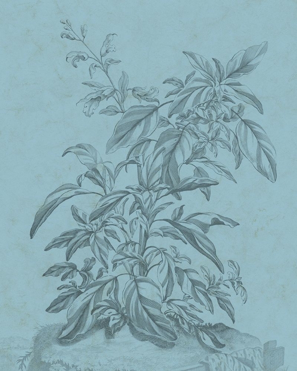 Picture of BOTANICAL ON TEAL III