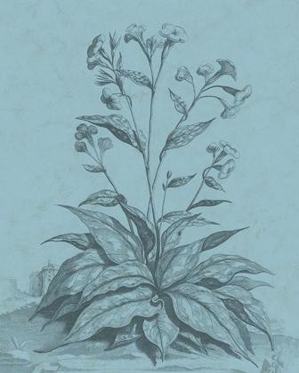 Picture of BOTANICAL ON TEAL VI