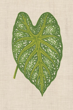 Picture of LEAVES ON LINEN I