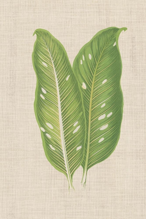 Picture of LEAVES ON LINEN V
