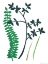 Picture of HEDGE ROW IV