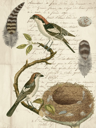 Picture of AVIAN JOURNAL I