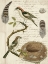 Picture of AVIAN JOURNAL I