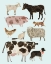 Picture of BARNYARD BUDS II