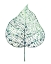 Picture of VEILED LEAF I