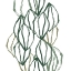 Picture of SEED VESSELS IV