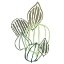 Picture of BOTANICAL INTERIM I