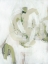 Picture of VERGE I