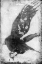 Picture of B AND W FLIGHT IV