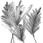 Picture of FLORAL SILHOUETTE I