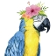 Picture of TROPICAL HALO II