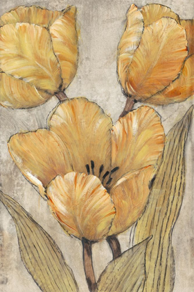 Picture of OCHRE AND GREY TULIPS II
