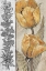 Picture of OCHRE AND GREY TULIPS IV