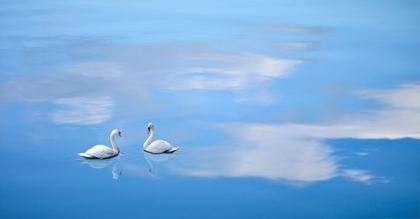 Picture of DUSK AND WATER VI