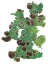 Picture of VERT I
