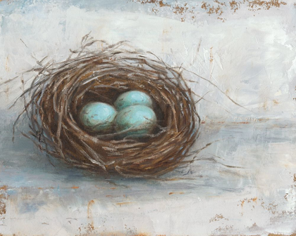 Picture of RUSTIC BIRD NEST I