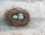 Picture of RUSTIC BIRD NEST I