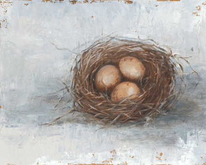 Picture of RUSTIC BIRD NEST II