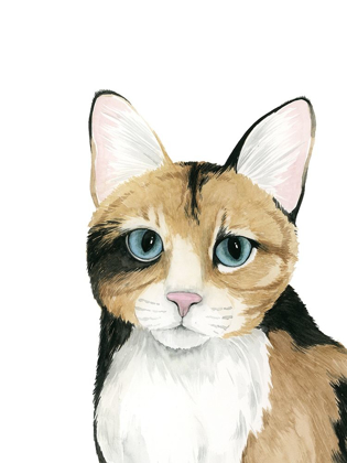 Picture of CAT PORTRAIT II