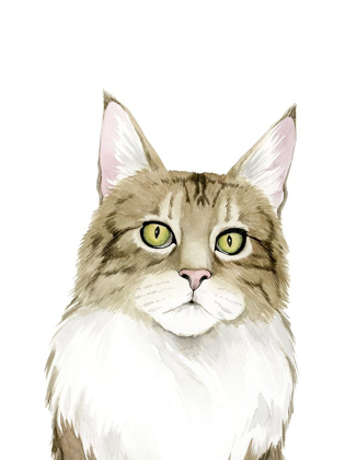 Picture of CAT PORTRAIT IV