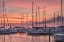 Picture of DAWNING DAY