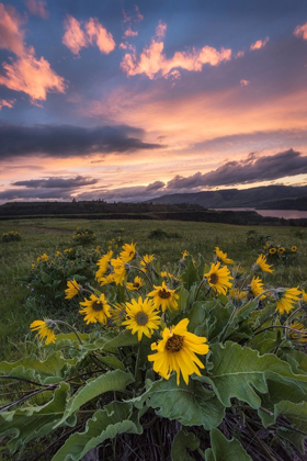 Picture of SUNSET AT THE GORGE