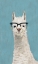 Picture of LLAMA SPECS II