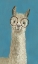 Picture of LLAMA SPECS III