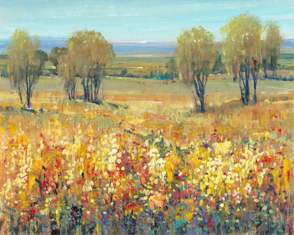 Picture of GOLDEN FIELDS II