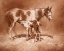 Picture of SIENNA PAINT