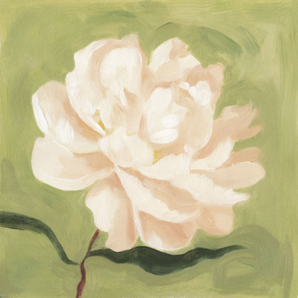 Picture of PEONY ON OLIVE I
