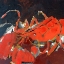 Picture of ABSTRACT LOBSTER IV
