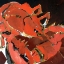 Picture of ABSTRACT LOBSTER V