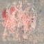 Picture of BLUSH KINESIS II
