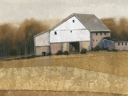 Picture of WHITE BARN VIEW I