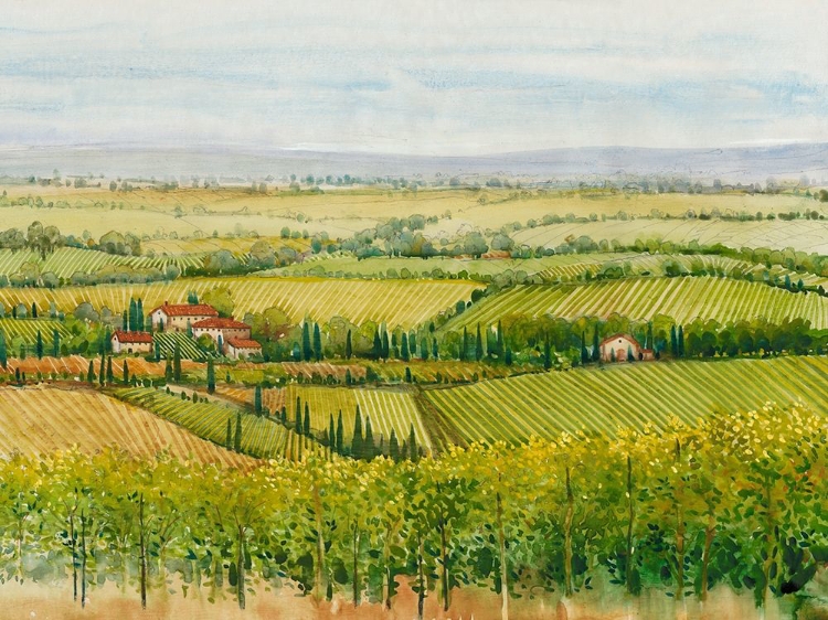 Picture of WINE COUNTRY VIEW I