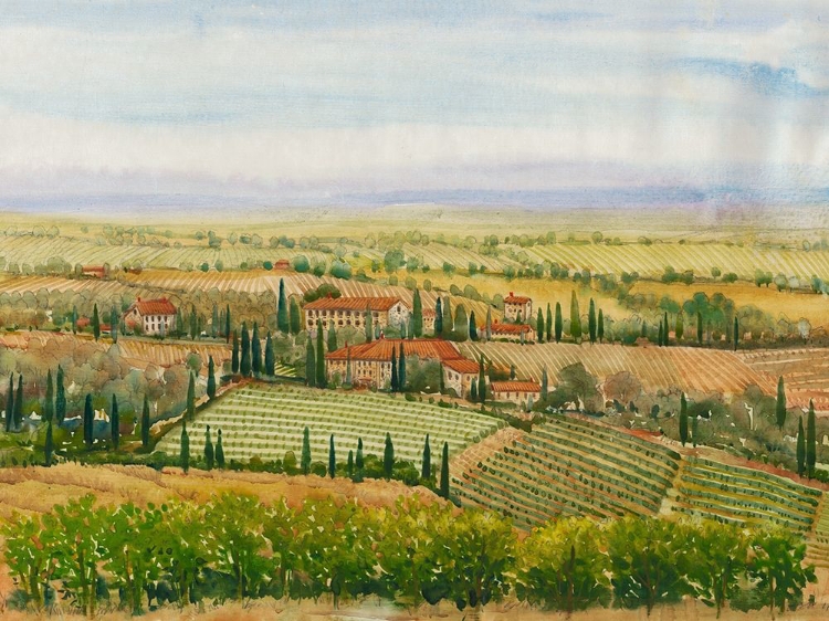 Picture of WINE COUNTRY VIEW II