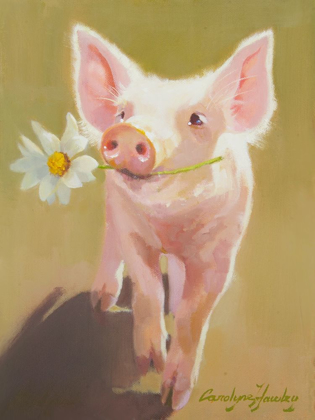 Picture of LIFE AS A PIG IV