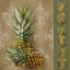 Picture of PINEAPPLE WELCOME II