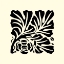 Picture of BANDW GRAPHIC BEAUTY III