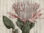 Picture of RUSTIC FLORAL IV
