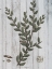 Picture of RUSTIC GREENERY II