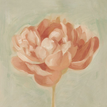 Picture of SPRING PEONY I