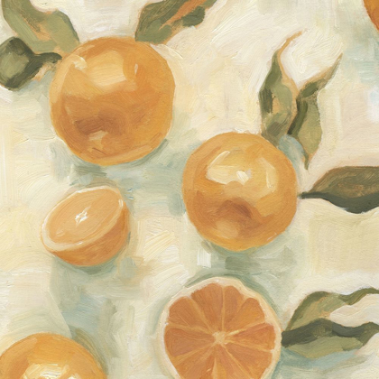 Picture of CITRUS STUDY IN OIL IV