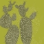 Picture of OPUNTIA I